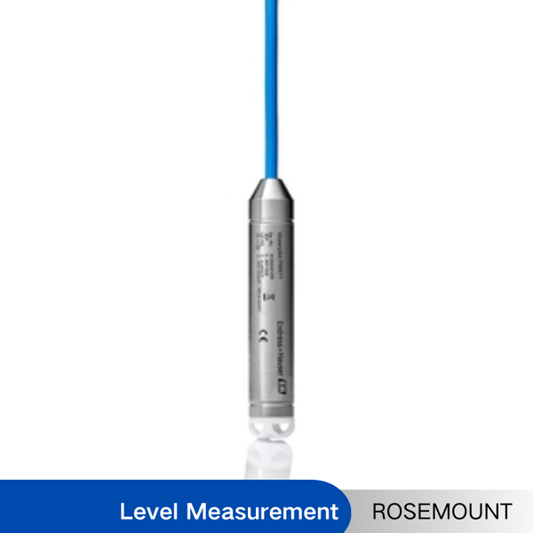 Endress+Hauser Hydrostatic Level measurement Waterpilot FMX11