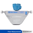 ROSEMOUNT Micro Motion CNG Coriolis Flow Meter