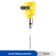 VEGA VEGACAP 62 Capacitive rod probe for level detection 